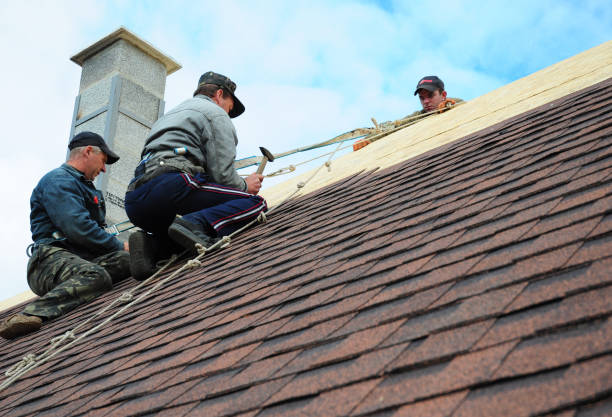 Best Roof Gutter Cleaning  in Siena College, NY